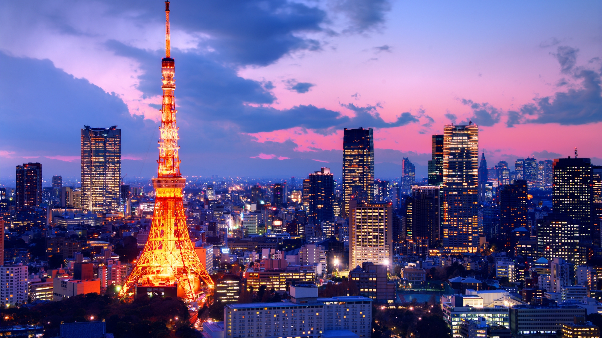 Timeless Japan Explorer