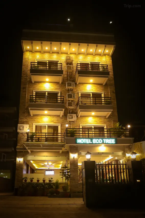 Hotel Eco Tree Pokhara — 7