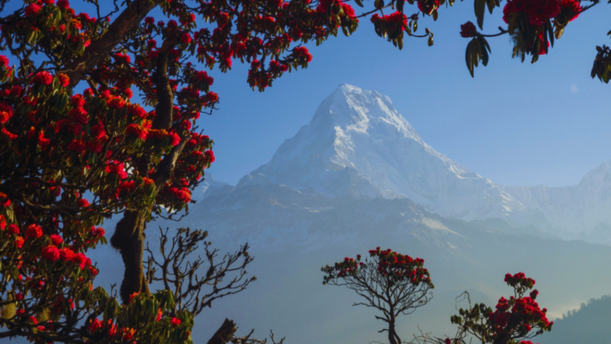 Nepal Travel Guide: Best Time to Visit, Seasons, Climate & Festivals Explained